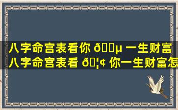 八字命宫表看你 🐵 一生财富（八字命宫表看 🦢 你一生财富怎么看）